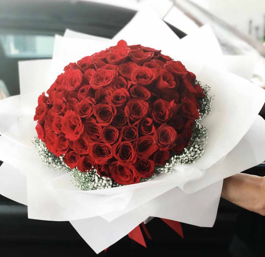 100 roses(P2)