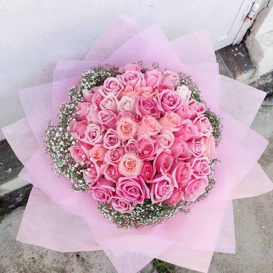 100 roses(P3)